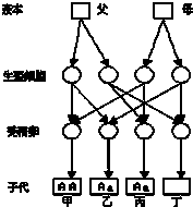 如果把一个植物细胞看成是一个完整的现代化"工厂 .则下列比喻较贴切的是( )A.细胞壁是"门卫 .控制物质进出B.细胞膜是"调控中心 .控制细胞活动C.线粒体是"动力车间 提供能量D.细胞核是"产品车间 .细胞活动场所 题目和参考答案
